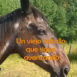Picture for song 'Un viejo caballo que sigue avanzando' by artist 'Estelle Derrien'