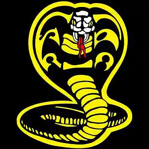 Picture for song 'COBRA KAI *MEEK MILL*' by artist 'Majestic Drama'