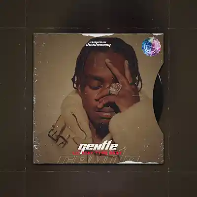 Picture for song '"Gentle" Lil Tjay Type Beat' by artist 'MoneysOnDead'