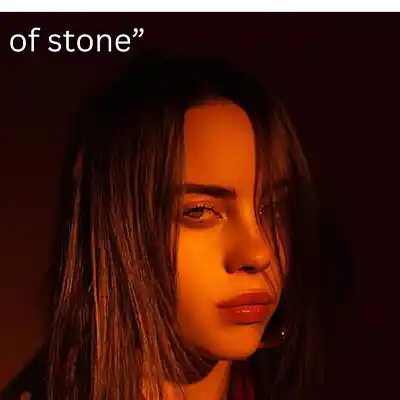 Picture for song 'Heart of Stone' by artist 'prodFDR'