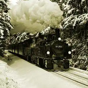 Picture for song 'Railway' by artist 'Puls Ever'