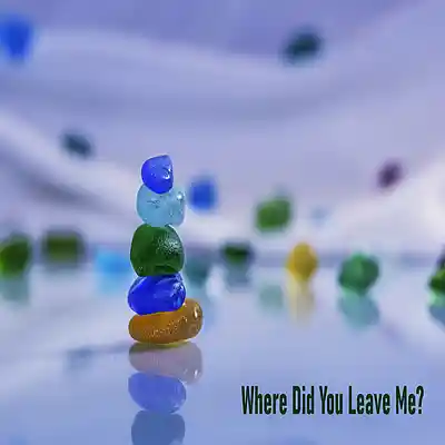 Picture for song 'Where Did You Leave Me' by artist 'Sean Ferree'