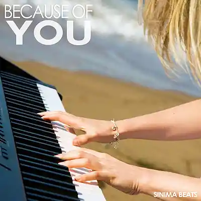 Picture for song 'Because of You' by artist 'SINIMA BEATS'