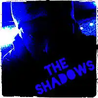 Picture for song 'The Shadows' by artist 'Turtle Necromancer'