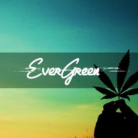Picture for song 'Evergreen (Smooth)' by artist 'Audio Fiene'