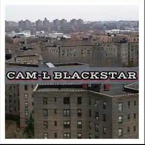 Picture for song 'The Bridge 95bpm' by artist 'CAM-L BLACKSTAR'