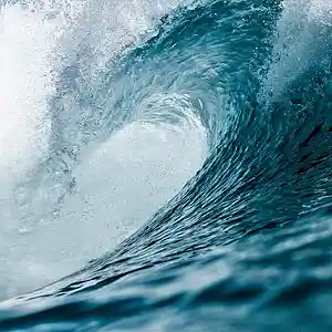 Picture for song 'Wave Song' by artist 'CANDIES'