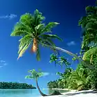 Picture for song 'Pallmtrees *Bounce* (Free DL)' by artist 'DaBeatDroppah Productions'