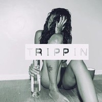 Picture for song 'TRIPPIN' by artist 'DA-pionneerr'