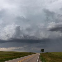 Picture for song 'Long Time Standing' by artist 'D B Hankinster'