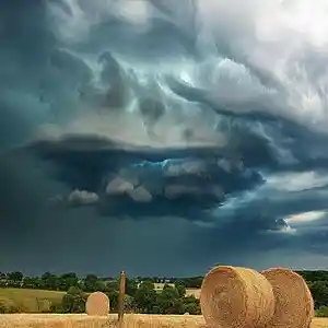 Picture for song 'Deep Floyd 450-Electric Sky Talk' by artist 'Jammer59'