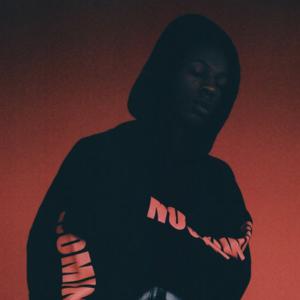 Picture for song 'Sunlight (Joey Bada$$ x J Dilla Type Beat)' by artist 'Luke White On The Beat'