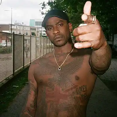 Picture for song 'Bruto' by artist 'N43'