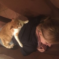 Picture for song 'Our Cat Snoopy' by artist 'Peter Kosta's Galaxy Rock Band'