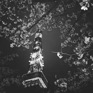 Picture for song '"To hug you" - Lofi Type Beat Instrumental 2023' by artist 'REDDOO17'