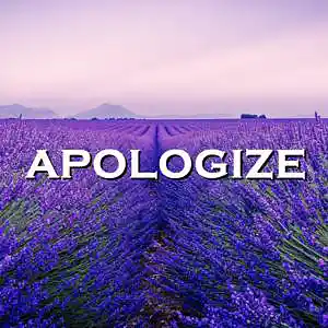 Picture for song 'Apologize' by artist 'SadGlad Music'