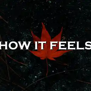 Picture for song 'How It Feels' by artist 'SadGlad Music'