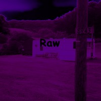 Picture for song 'Raw' by artist 'Sound Plan'