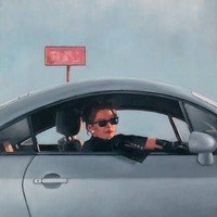 Picture for song 'Black Peaks White Gull' by artist 'the lost highway'