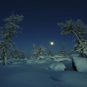 Picture for song 'Snowfall' by artist 'VXAQ'