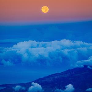 Picture for song '"All I Have" Beat for Sale' by artist 'whoDeanyBeatz'