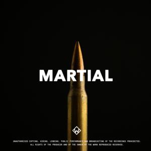 Picture for song 'Martial (Drum & Bass Type Beat)' by artist 'WZ Beats Store'