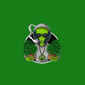 Picture for song 'Dank' by artist 'Zordag'