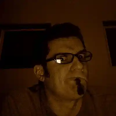 Picture for song 'lazy dog 1' by artist '1groovy cat'