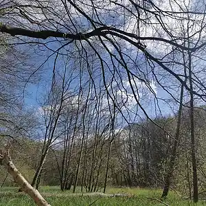 Picture for song '20240414_155206_1fs_1woIstMeinPlatz...' by artist '786 scheint-Al'lahs Bande'