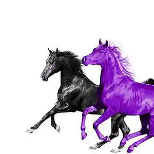 Picture for song 'Filipe Ret x Lil Nas X Type Beat - 'Industry Baby'' by artist 'Conky Beatz 2021'