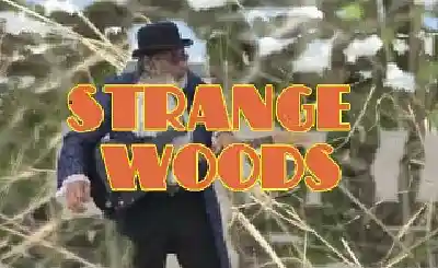 Song picture of 'Strange Woods'