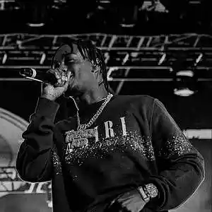 Picture for song 'LIL TJAY TYPE BEAT - "ROSES"' by artist 'P2 Beatz'