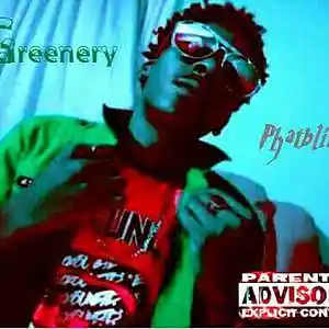 Picture for song 'Phatblitz - Greenery (official-mp3)' by artist 'Phatblitz'