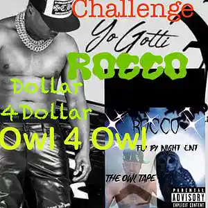 Picture for song 'YO GOTTI CM10 CHALLENGE /ROCCO THE ..BIG OLOWL' by artist 'Rocco The Big Ol Owl'