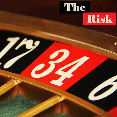 Picture for song 'The Risk' by artist 'Sean Ferree'