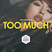 Picture for song 'Too Much - R&B Trap Soul Beat #Buy2Get1' by artist 'THAIBEATS'