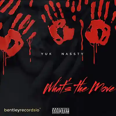 Picture for song 'Whats the move CLEAN' by artist 'YukNassty'