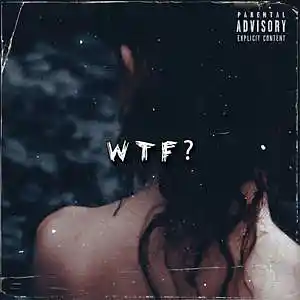 Picture for song 'WTF? [Buy 1, Get 1 Free]' by artist 'Adrenaline Beatz prod.'