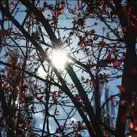 Picture for song 'September sky' by artist 'Seeking Planets In The Dust'