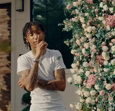 Picture for song 'Celine Starlight (Autumn Type Beat)' by artist 'DRAXLUR'