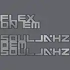 Picture for song 'Flex on EM - Souljahz Dem Souljahz' by artist 'HBDU Muzik Factory'