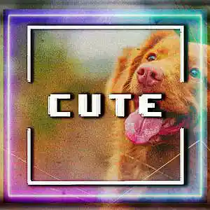 Picture for song 'Cute , Ariana Grande Type Beat' by artist 'Kolarbeatz'