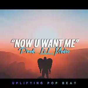 Picture for song ''Now U Want Me' // Buy ONE Get ONE FREE' by artist 'LiL Medic Beats'