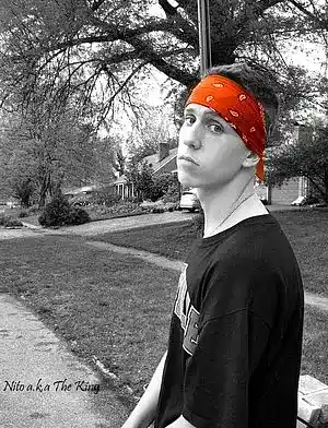 cover pic