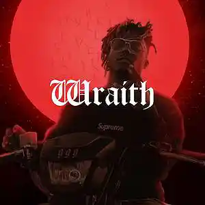 Picture for song 'Wraith - Juice WRLD Type Beat 2022' by artist 'SG Beatz'