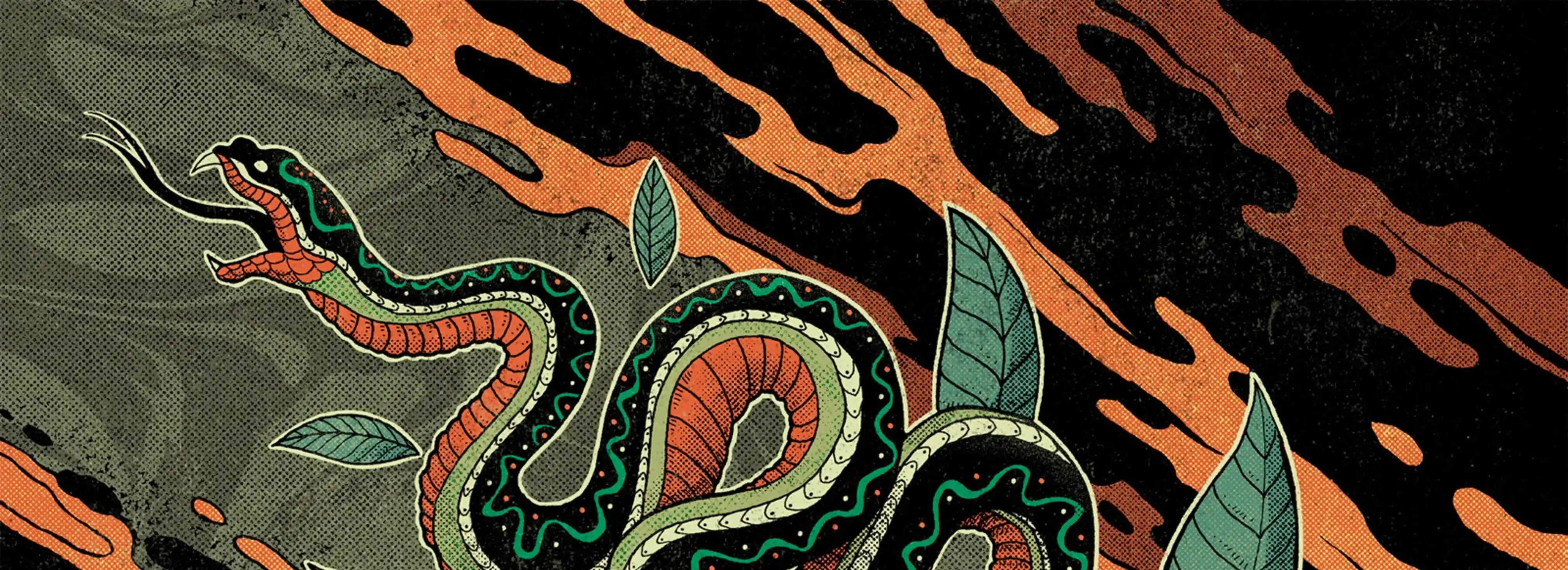 cover pic