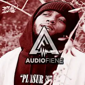 Picture for song 'Skyfall (Wiz, JID type)' by artist 'Audio Fiene'