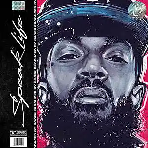 Picture for song 'Speak Life (Soulful Type Beat)' by artist 'BOGER'