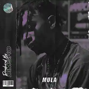 Picture for song 'Mula' by artist 'Dimsho Beats'