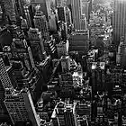 Picture for song 'City Boy Dreams | 2013' by artist 'Jordan Metro'